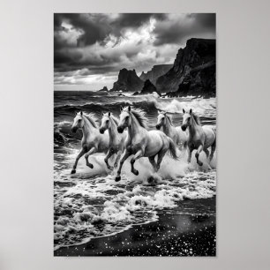 Poster Cartaz Stormbound Lipizzaner Dreamscape