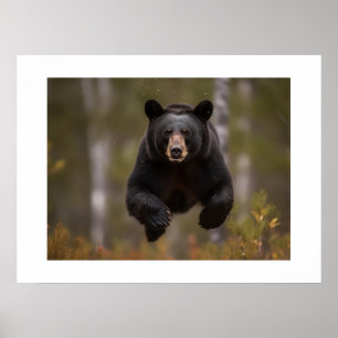 Poster Cartaz Urso de Yellowstone