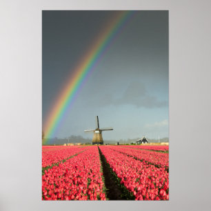 Póster Cartaz vertical de arco-íris, tulipas e moinho de