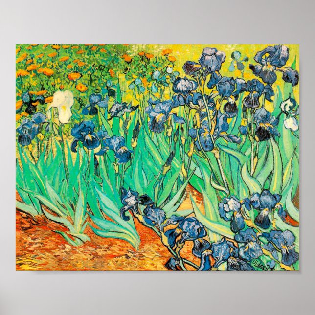 Póster Cartaz Vincent van Gogh Íris 1889 Flores Azuis (Frente)