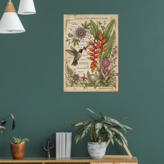 Poster Cartaz Vintage Botânico Beija-flor