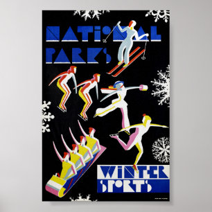 Poster Cartaz Vintage Esportes de Inverno Parques Naciona