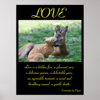Póster CARTAZES de Amor Animal 6