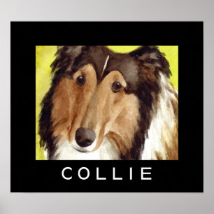 Poster Cartazes de Cães Collie