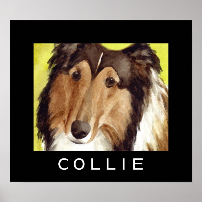 Poster Cartazes de Cães Collie (Frente)