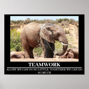 Poster Cartazes Motivacionais da Vida Selvagem Trabalho e