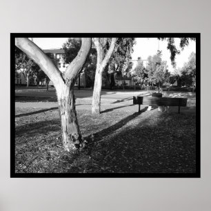 Poster carteira #5 da foto IV