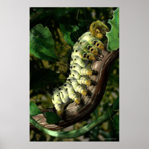 Poster Carteiro Caterpillar