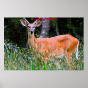 Poster Cartões de natal Deerest