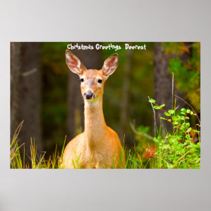 Poster Cartões de natal Deerest