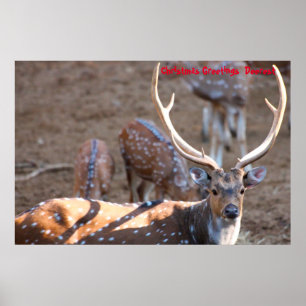 Poster Cartões de natal Deerest