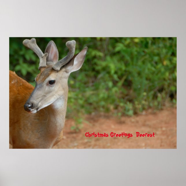 Poster Cartões de natal Deerest (Frente)