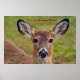 Poster Cartões de natal Deerest