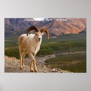 Poster Cartões de natal Meu Amigo