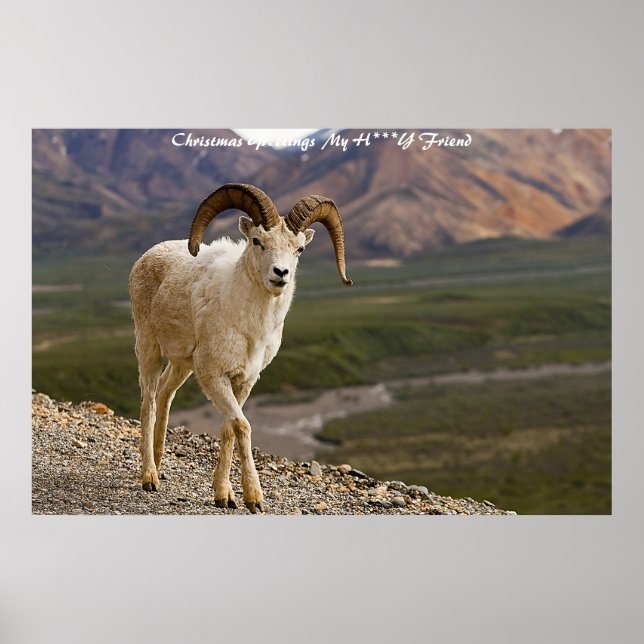 Poster Cartões de natal Meu Amigo (Frente)