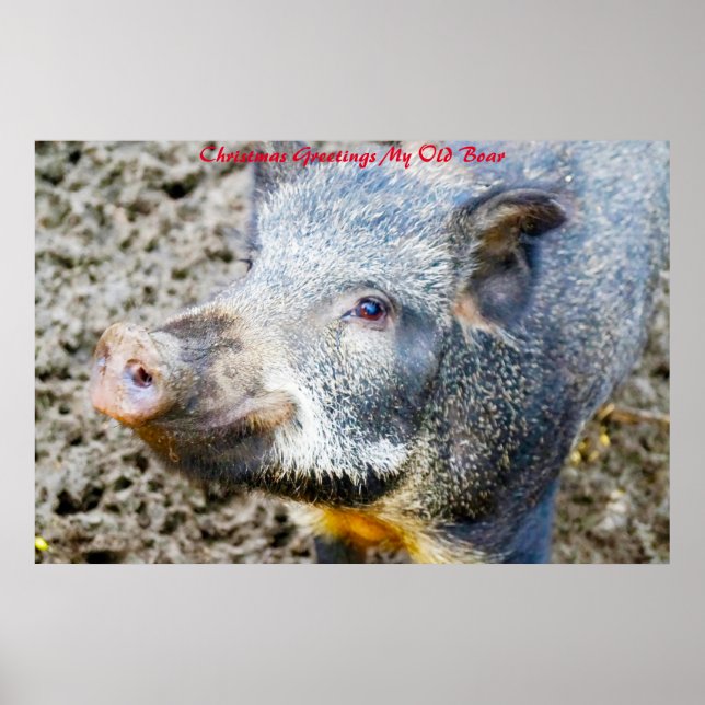 Poster Cartões de natal Meu Antigo Barco (Frente)