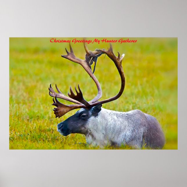 Poster Cartões de natal Meu Coletor de Caça (Frente)