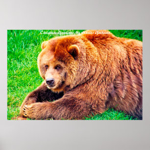 Poster Cartões de natal Meu Coletor de Caça