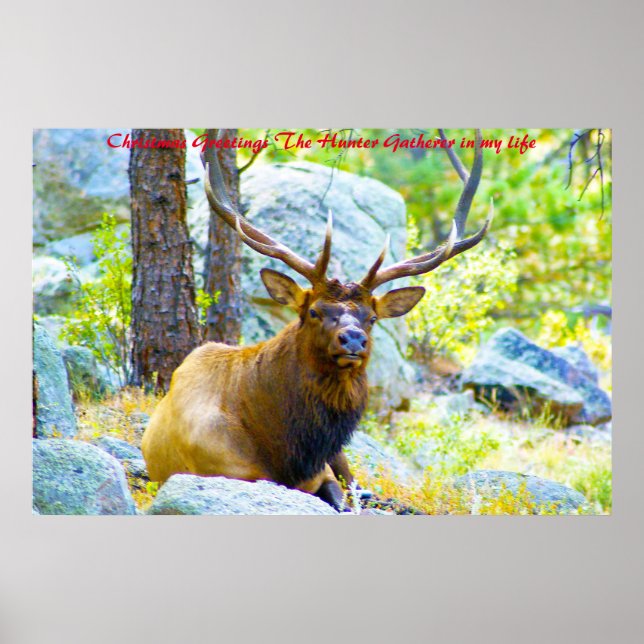 Poster Cartões de natal o Coletor de Caça na minha vida (Frente)
