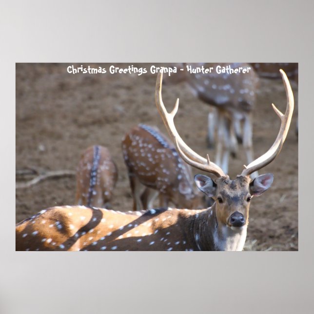 Poster Cartões de natal Vovô Hunter Gatherer (Frente)