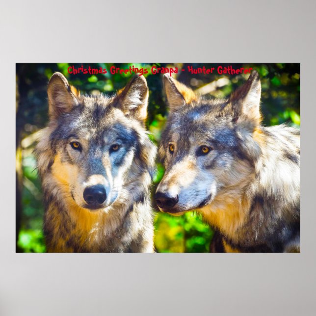 Poster Cartões de natal Vovô Hunter Gatherer (Frente)