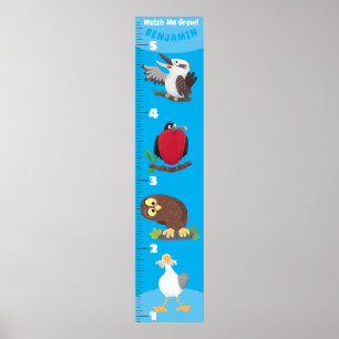 Poster Cartografia de pássaros engraçados
