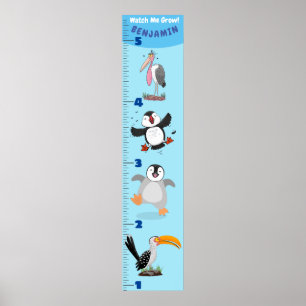 Poster Cartografia de pássaros engraçados e bonitos