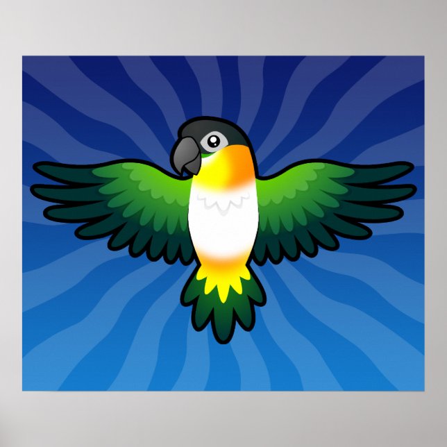 Poster Cartoon Caique / Lovebird / Pionus / Papagaio (Frente)