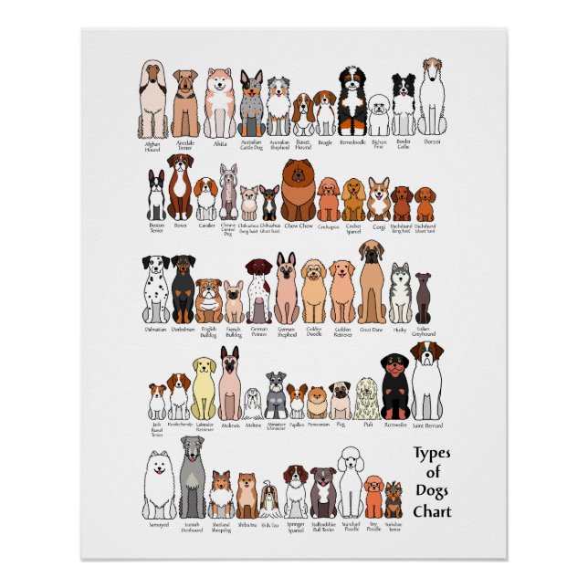 Póster cartoon dog breeds poster (Frente)