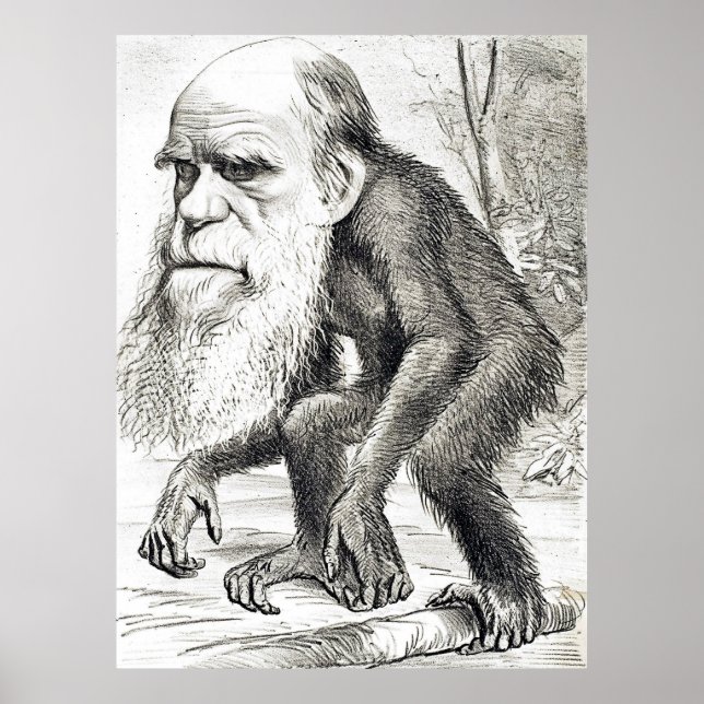 Póster Cartoon Editorial De Charles Darwin 1871 (Frente)