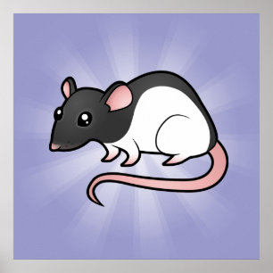 Póster Cartoon Rat