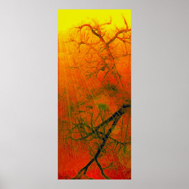 Póster Carvalho torcido - (Frente)