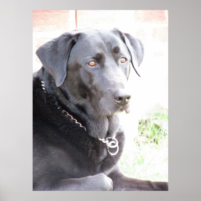 Póster Carvão (Frente)