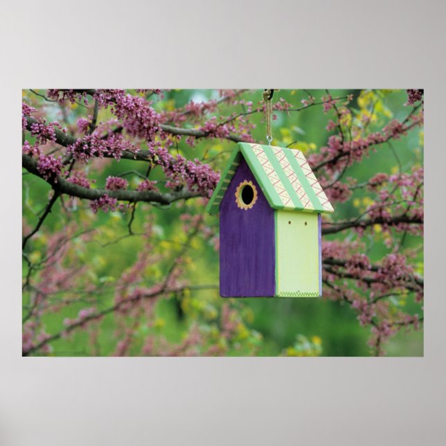 Poster Casa de Pássaros Em Uma Árvore Redbud (Frente)