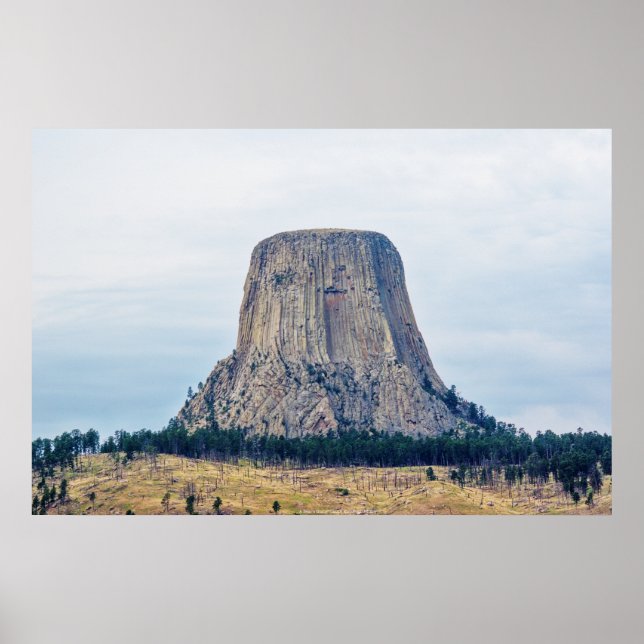 Poster Casa de um Urso (Frente)