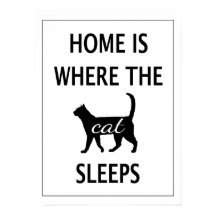 Casa é onde o gato dorme