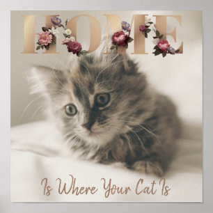 Poster Casa É Onde O Seu Gato Está