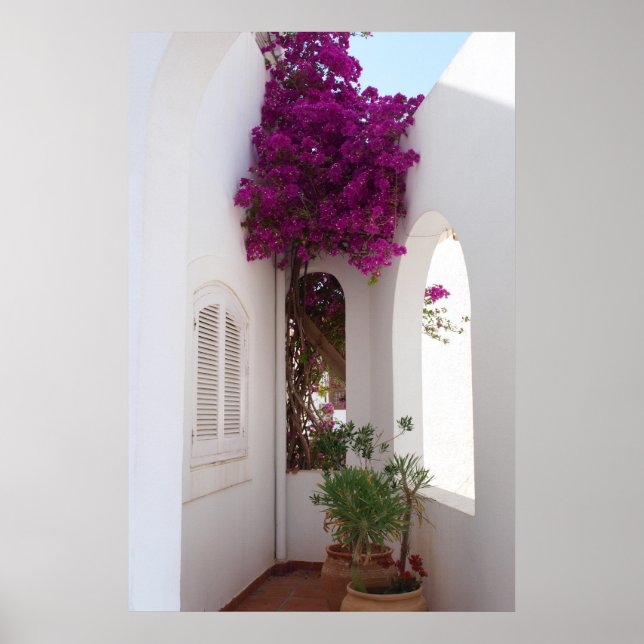 Póster casa mediterrânica (Frente)