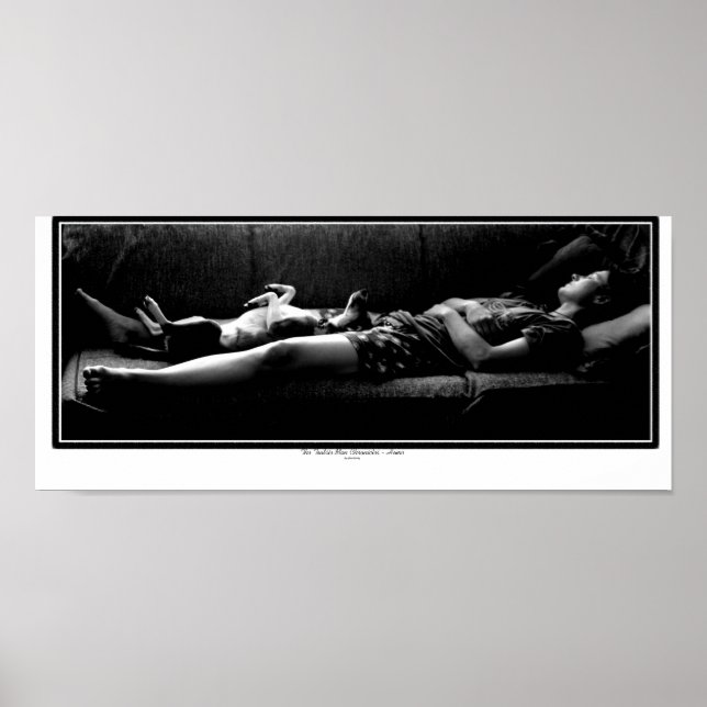 Póster Casa - Melhor Amigo (Frente)