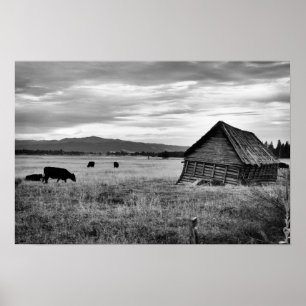 Póster Casa velha da fazenda