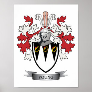 Poster Casaco de armas da Young Family Crest