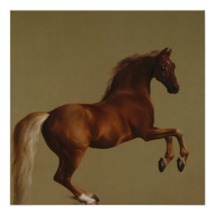 Póster Casaco de assobio por George Stubbs