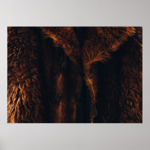 Poster Casaco de peles castanhas