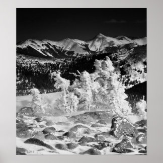 Póster Casaco de pó