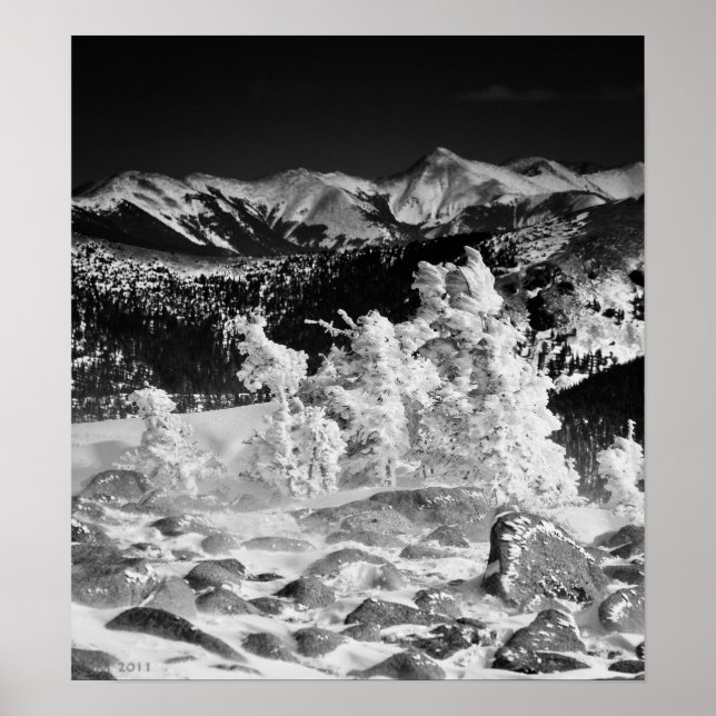 Póster Casaco de pó (Frente)