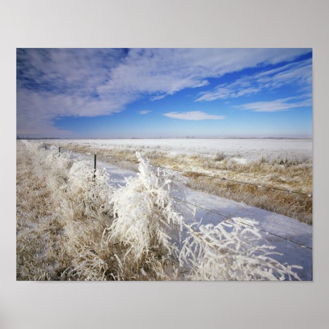 Póster Casacos do Hoarfrost torcendo e entrelaçamento pró (Frente)