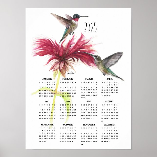 Poster Casais de Beija-flor de 2025  (Frente)