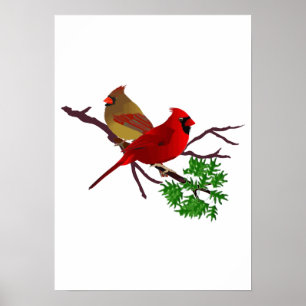 Póster Casal cardinal em um ramo