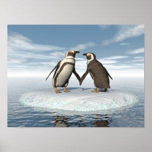 Póster Casal de pinguins