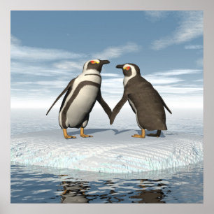 Póster Casal de pinguins